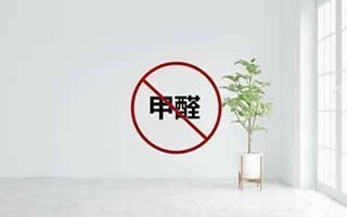 邵阳双清区爱莲文化广场除甲醛 工程开荒 灭老鼠 灯具灯泡清洗